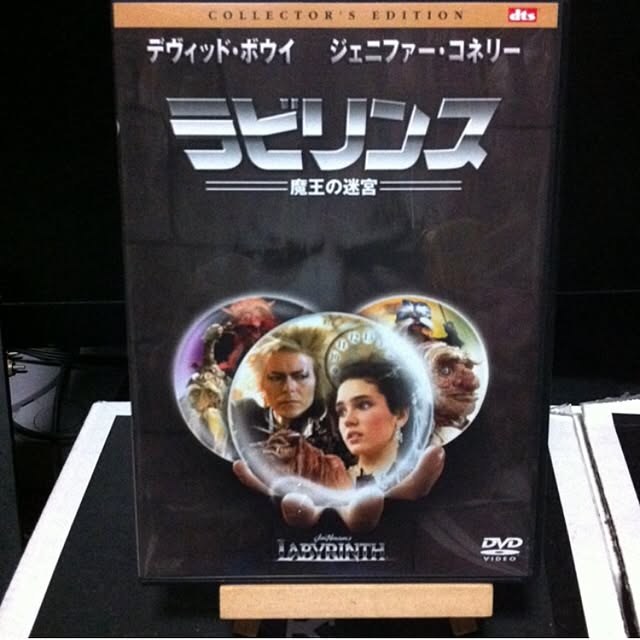 Shigeさんの実例写真