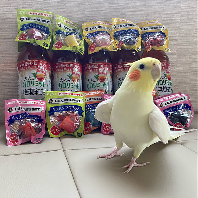 toratanさんの実例写真