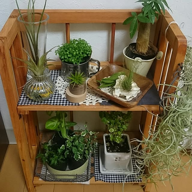 yooomeiziさんの実例写真