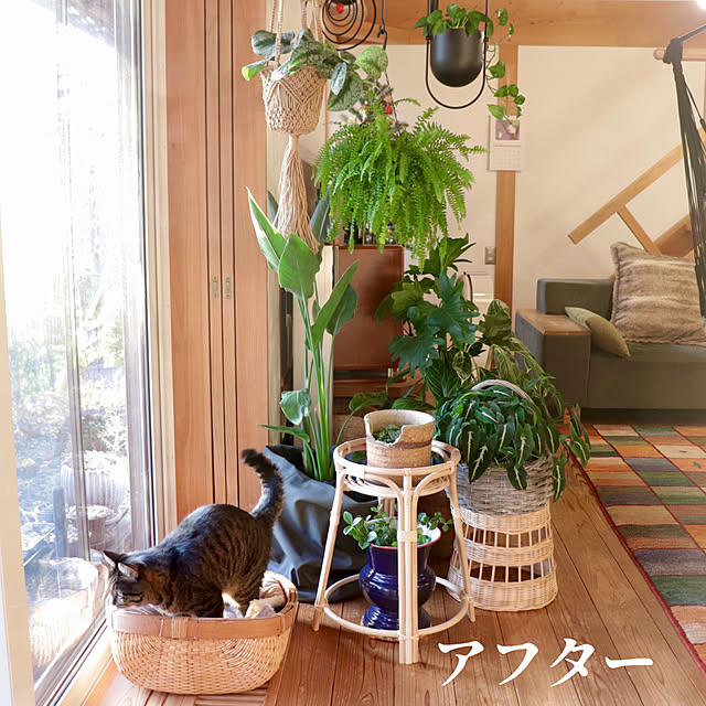 onsix777さんの部屋