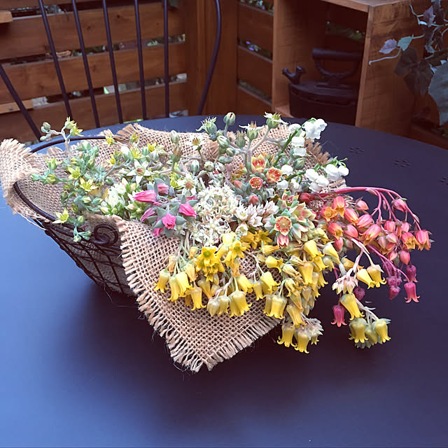 mintteaさんの実例写真