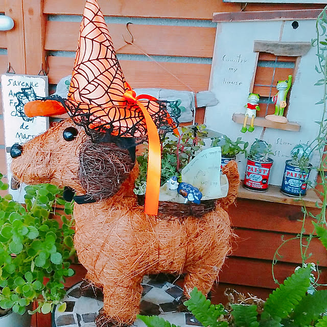 hana4504さんの実例写真