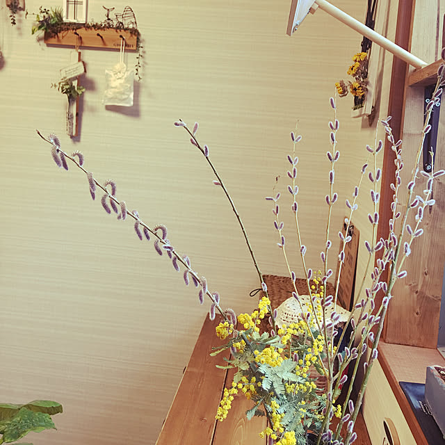 meguko.ryanさんの実例写真