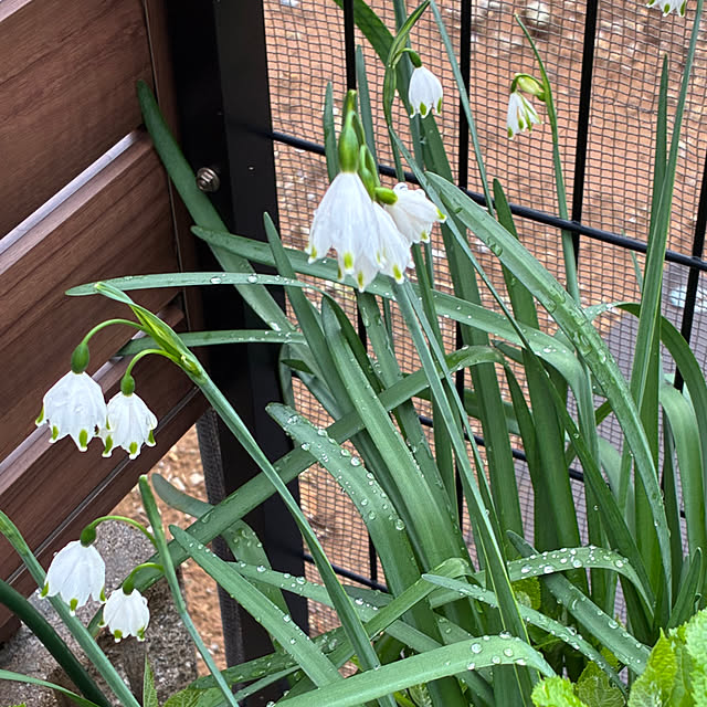 romiromiさんの実例写真