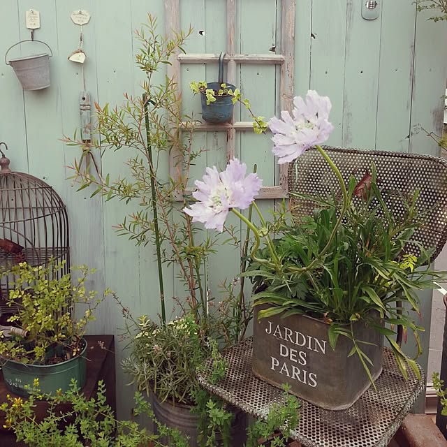 yururiragardenさんの実例写真
