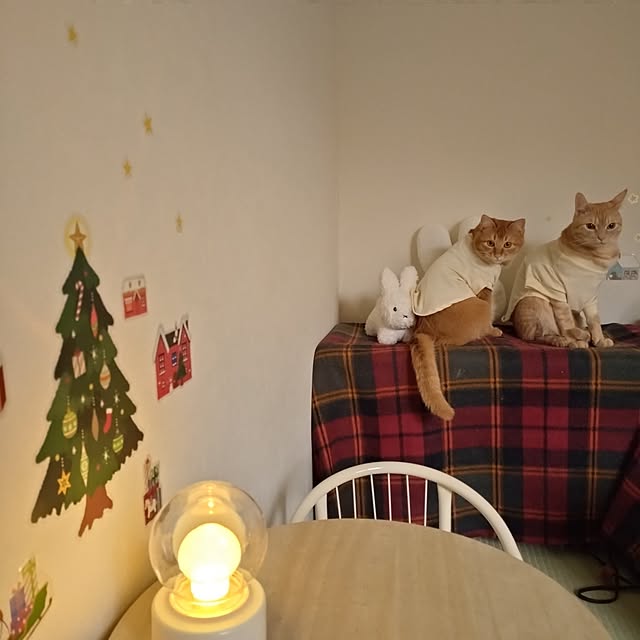 mayutan.さんの部屋