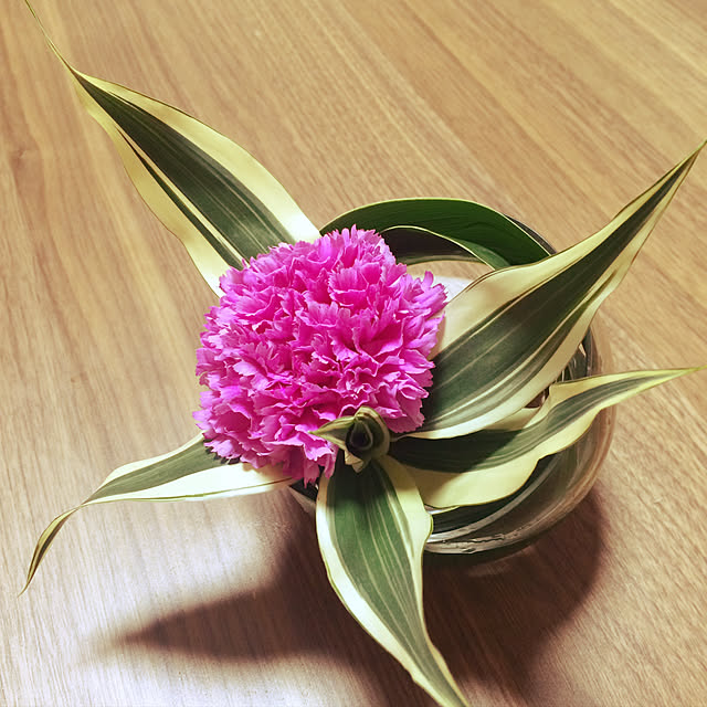 junkoさんの実例写真