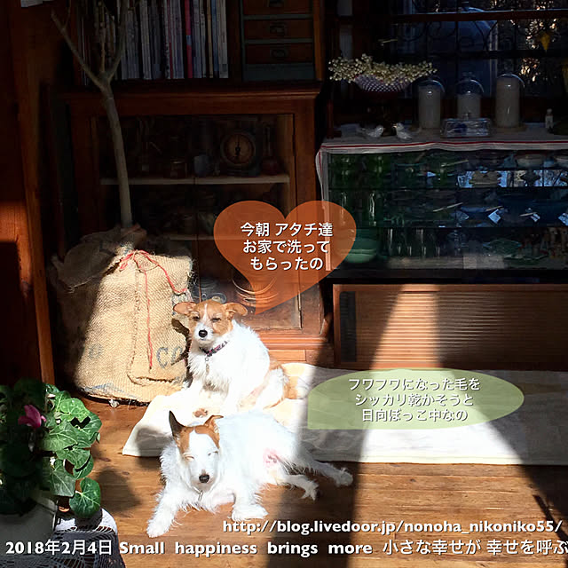 20rose_mamiさんの実例写真