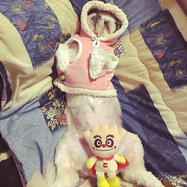 Kanamiさんの実例写真