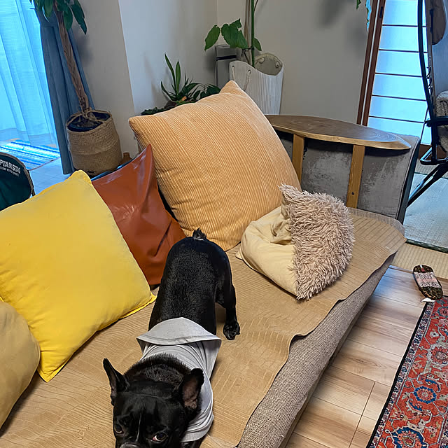 kotaroさんの部屋