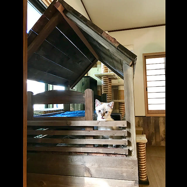 butachanさんの実例写真
