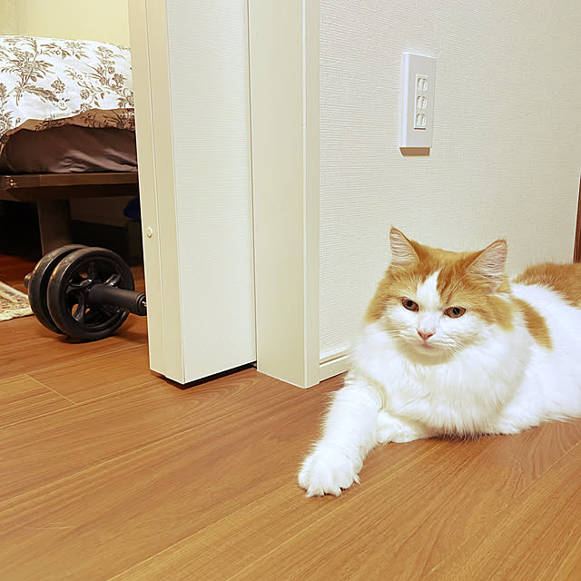 miumiu.303さんの実例写真