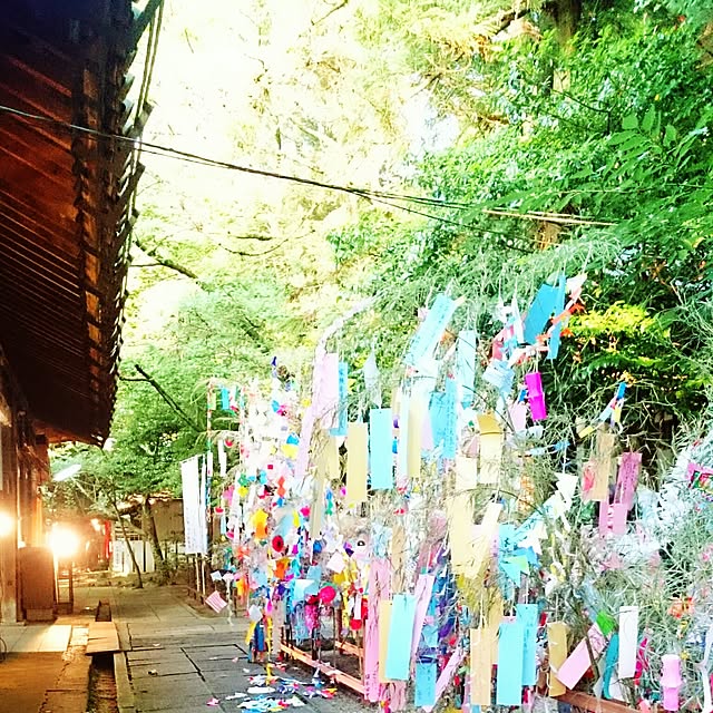 実例写真