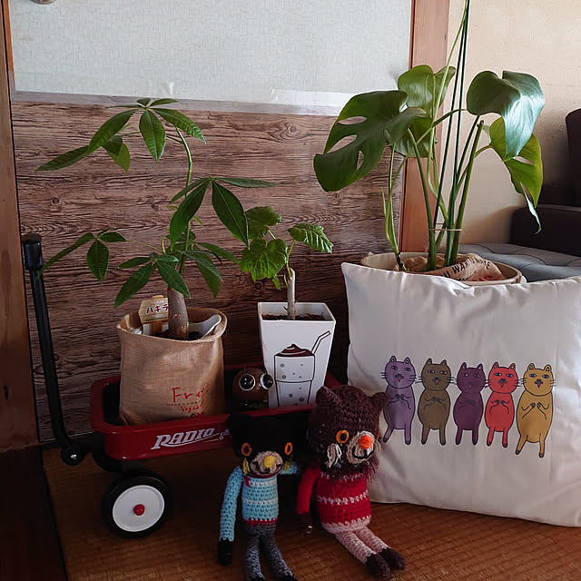 fukuさんの実例写真
