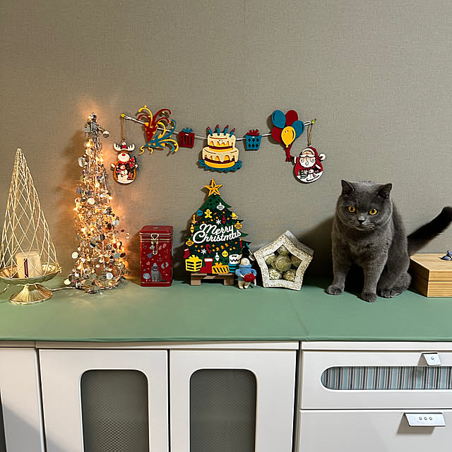 kittyさんの部屋