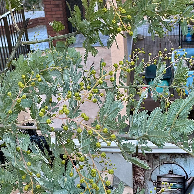 miyuさんの実例写真