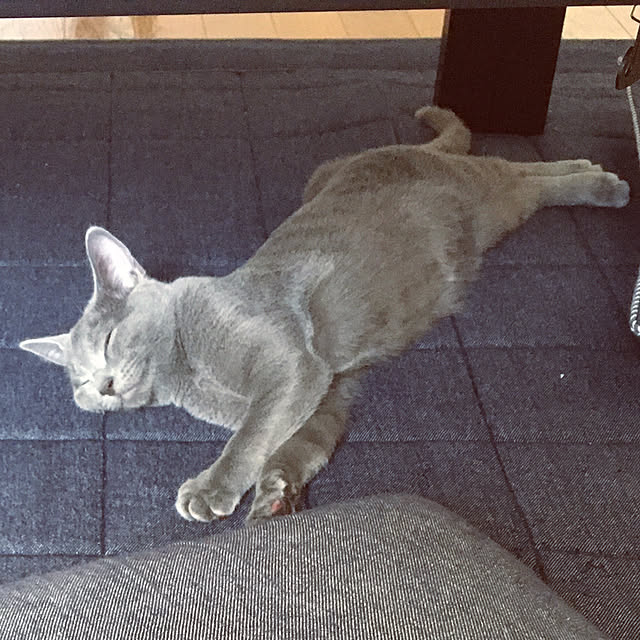 kyonさんの実例写真
