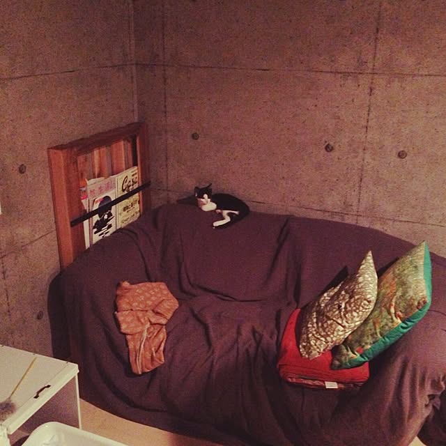玄関/入り口/猫ばかりです。/DIYのインテリア実例 - 2017-03-29 19:02:20
