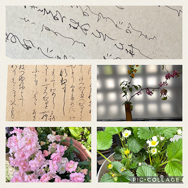 mamizaさんの実例写真
