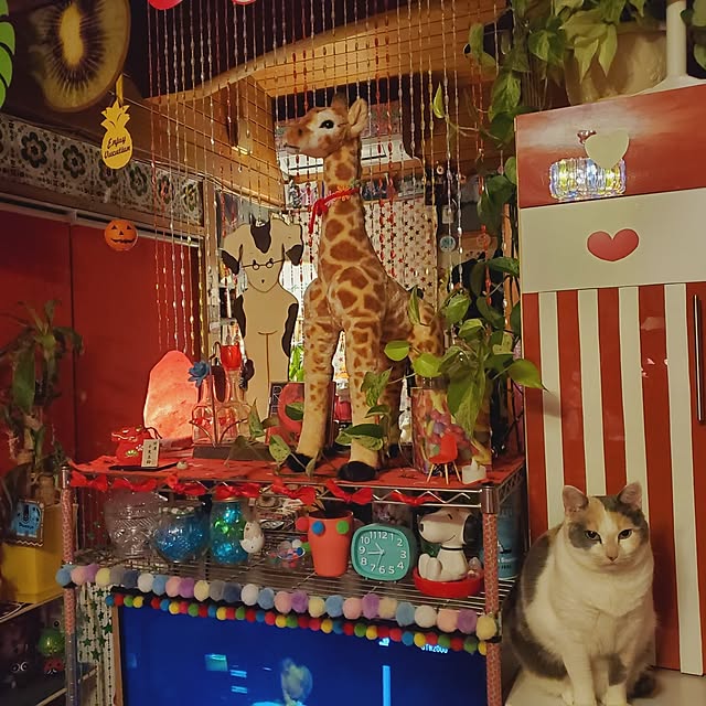 kumutanさんの実例写真