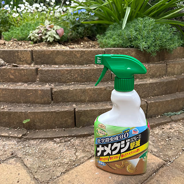 momocchiさんの実例写真