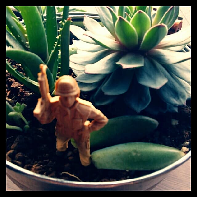 kamechanさんの実例写真