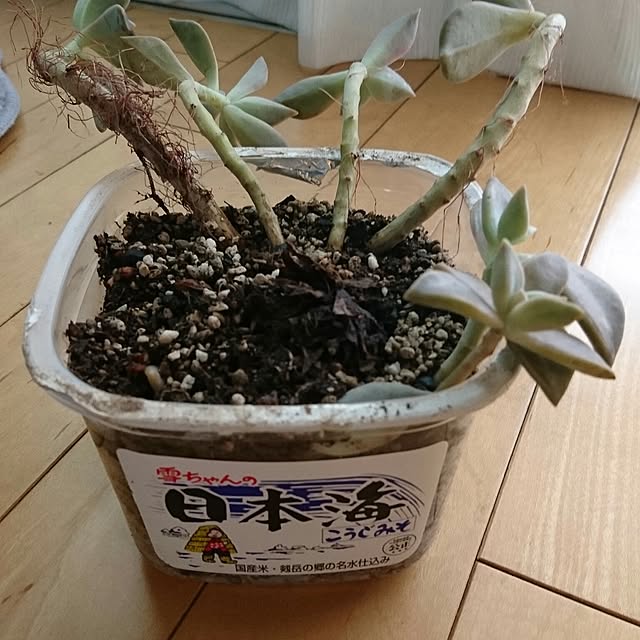 mhkさんの実例写真