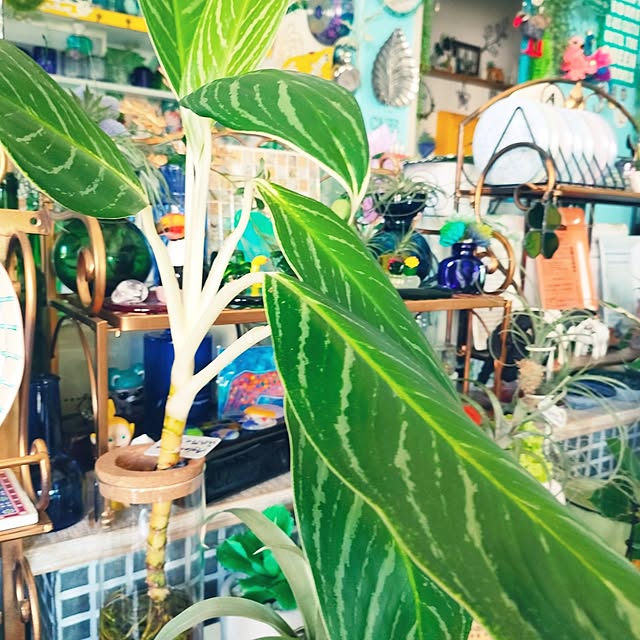 nacchanさんの部屋