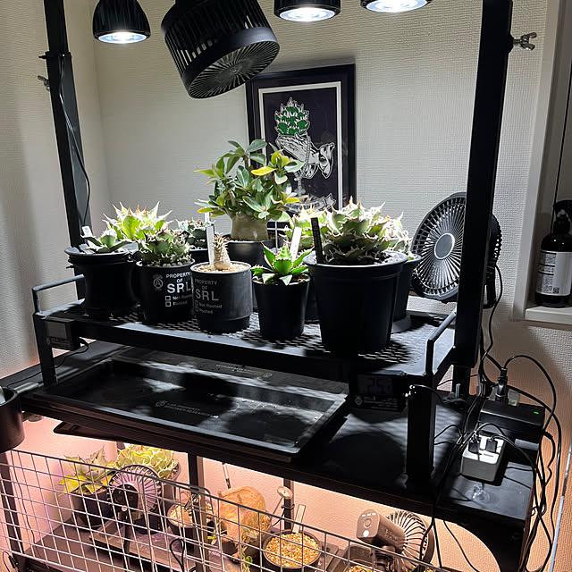 leoさんの実例写真