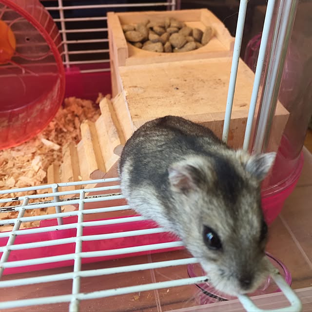 mihaaさんの実例写真
