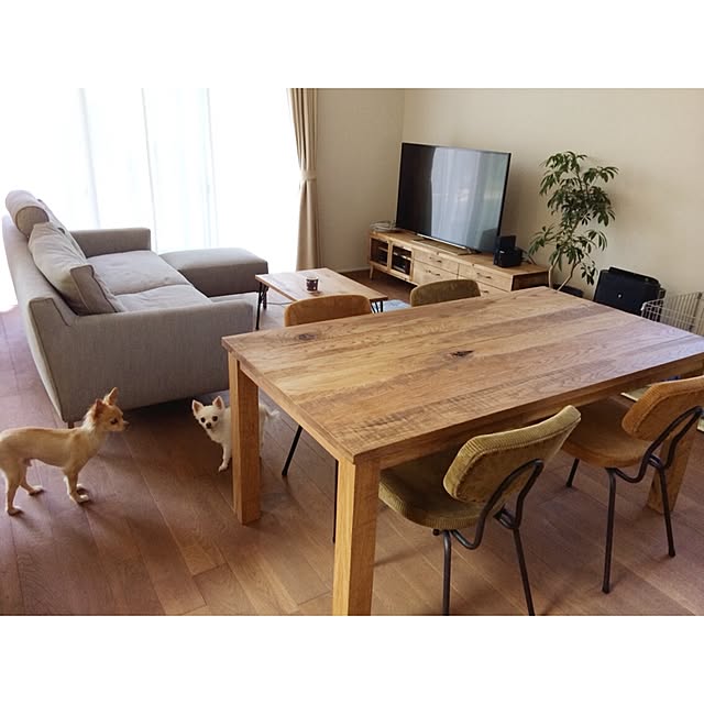 home__kさんの実例写真