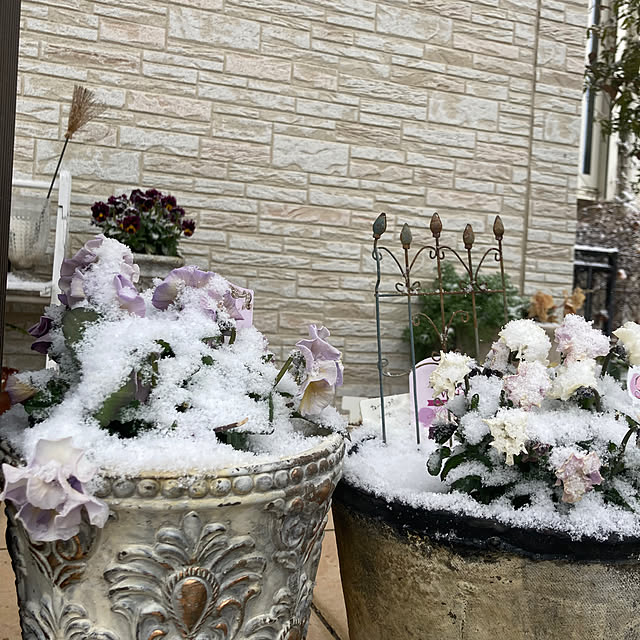 tsukineさんの実例写真