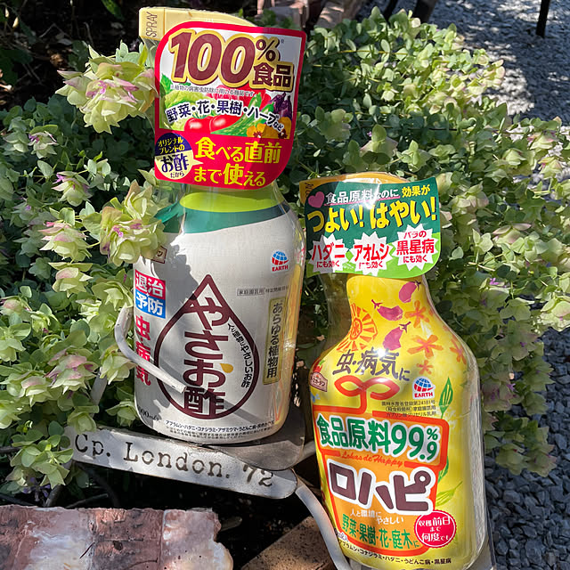ronronさんの部屋