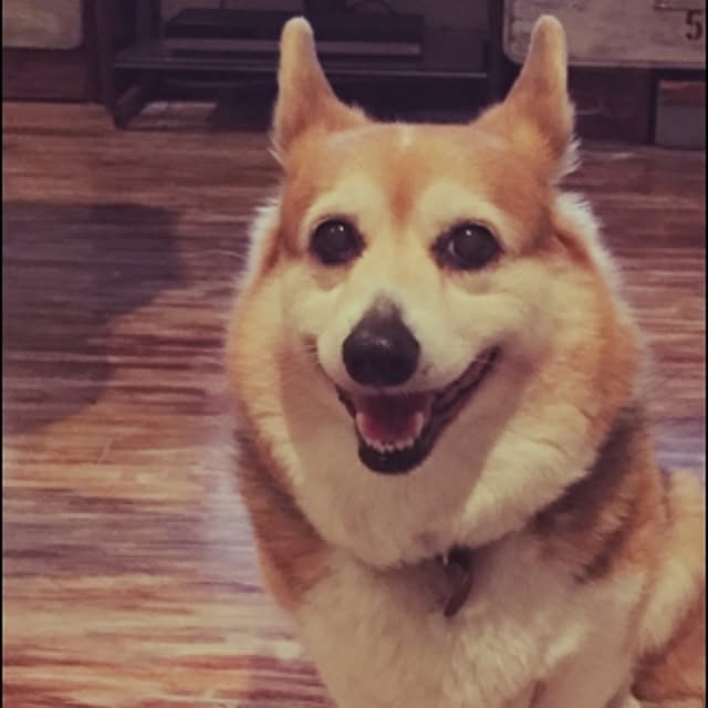 kumiさんの実例写真