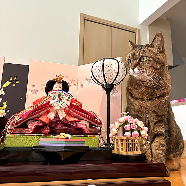 kirinsanさんの部屋