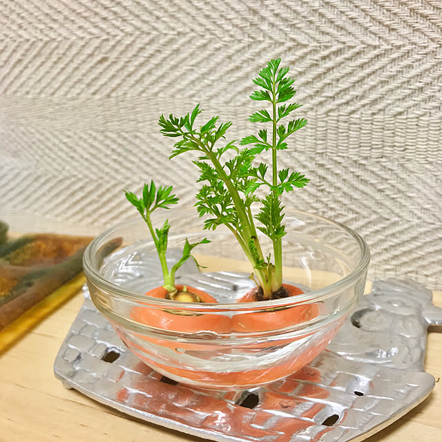 mokiさんの実例写真