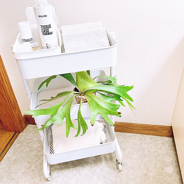 teaさんの実例写真
