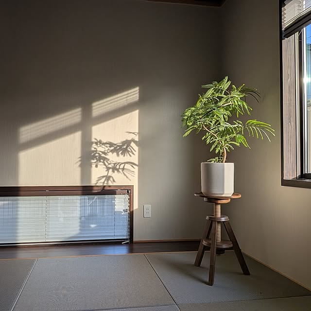 kumijiさんの実例写真