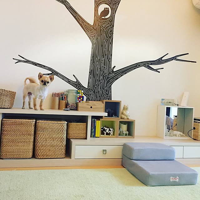 haruhinaさんの実例写真
