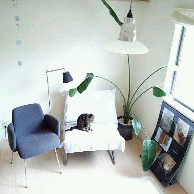 coconana165さんの実例写真
