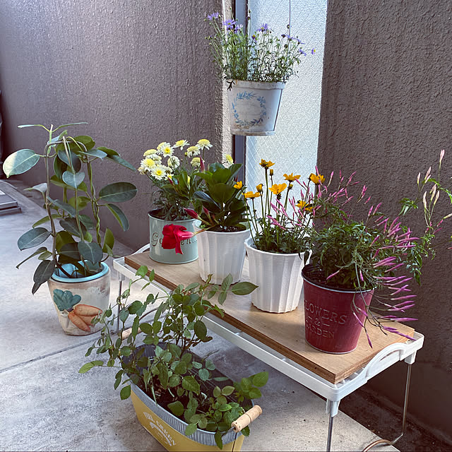 mamimoさんの実例写真