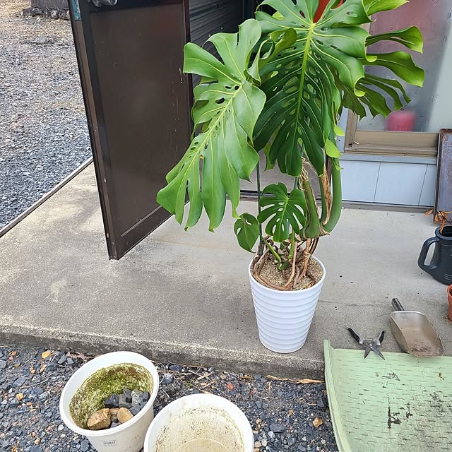 Rubiconさんの実例写真
