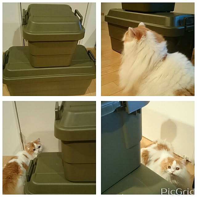 1ldksさんの実例写真