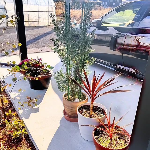 NSDさんの実例写真