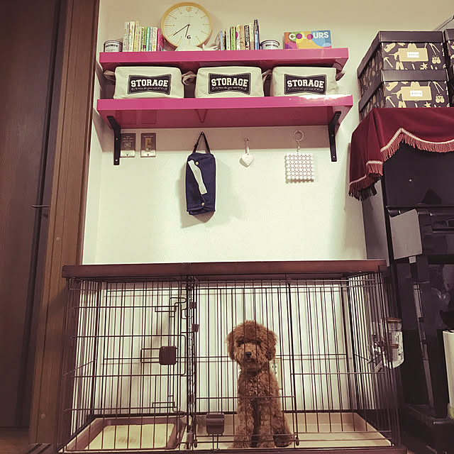 kenyaさんの実例写真