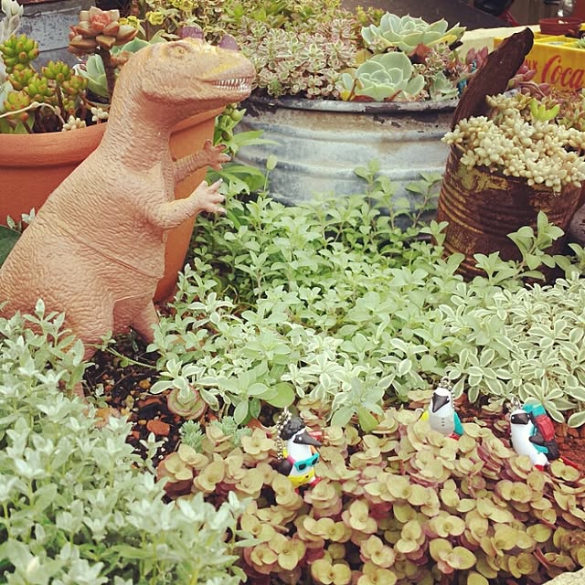 cyacyaさんの実例写真