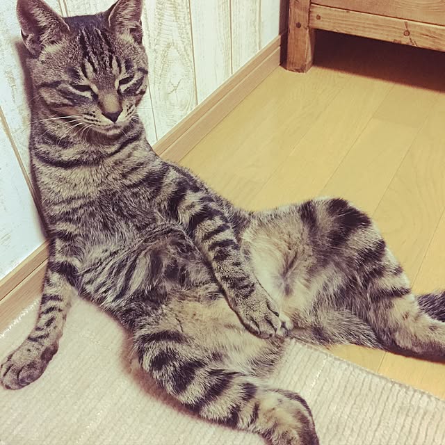 meguさんの実例写真