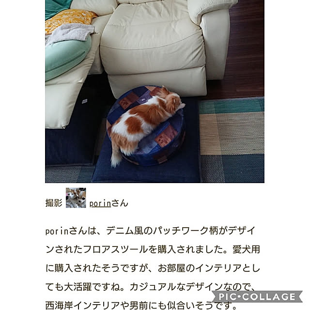 porinさんの実例写真
