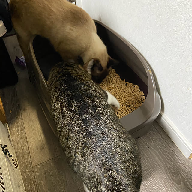 arashi530さんの部屋