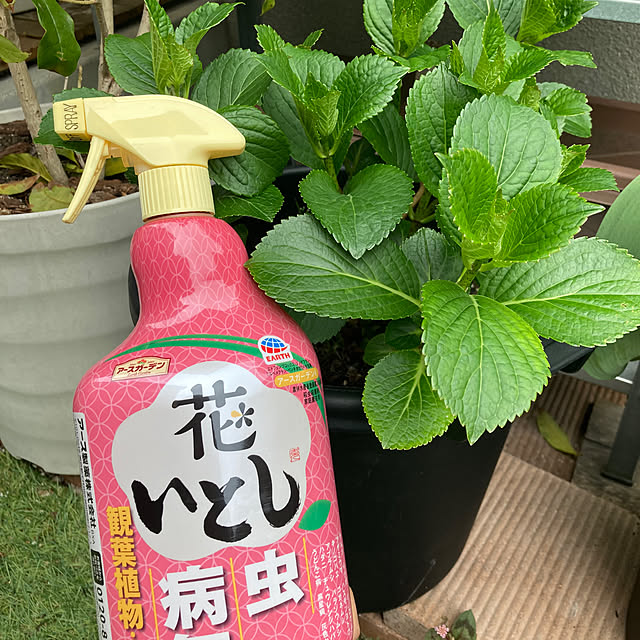 FUJICOさんの実例写真